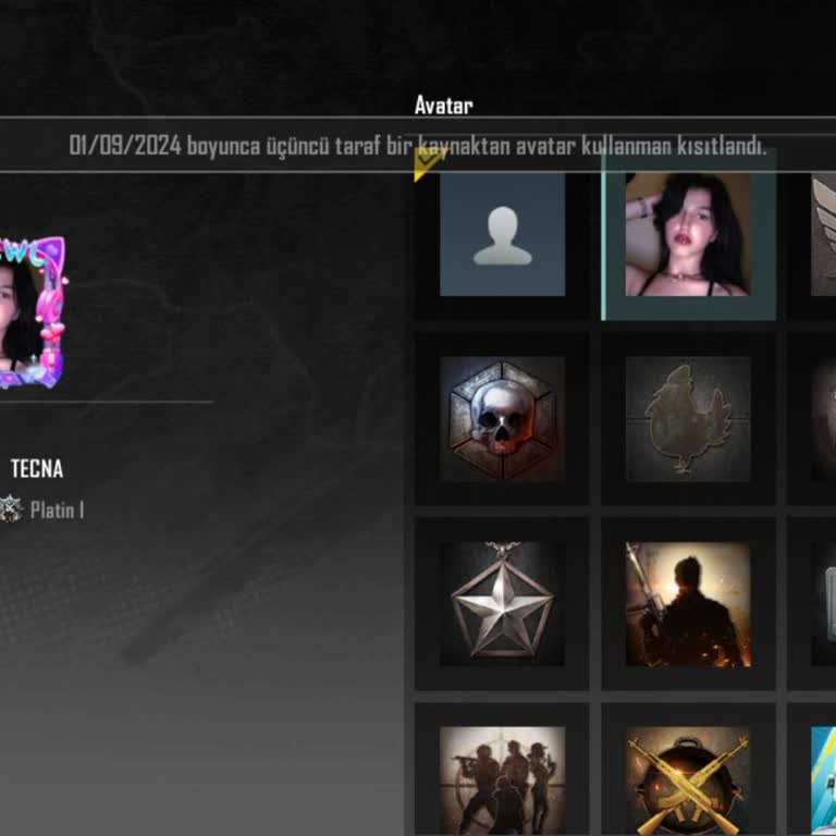 PUBG (Pubgmobile.com) Profil Fotoğrafım Görünmüyor