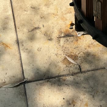 Bitez Garden Life Hotel Çok Kötü Ortam!