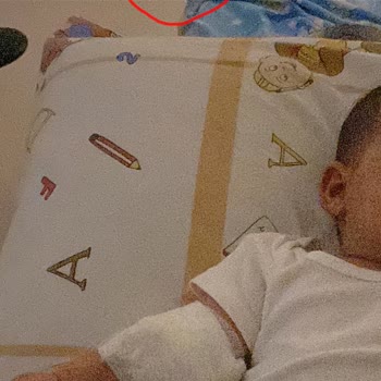 Migros Son Kullanma Tarihinin Üzerinden 3 Ay Geçmiş Mama Satışı