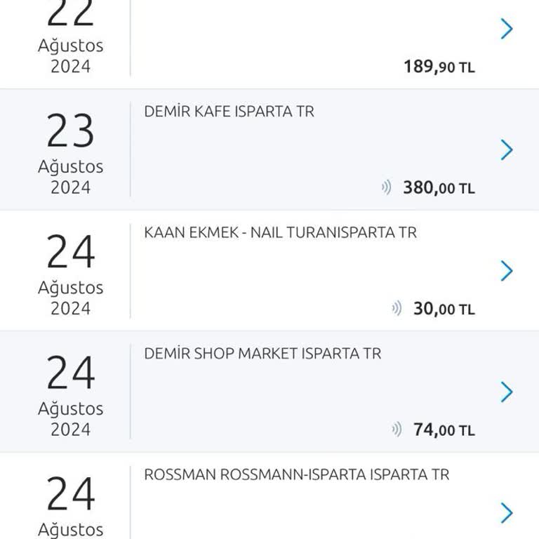 Yapı Kredi Bankası Yapı Kedi Yıllık Kart Ücreti