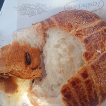 Sakarya Eğitim Ve Araştırma Hastanesi Kantini Pis