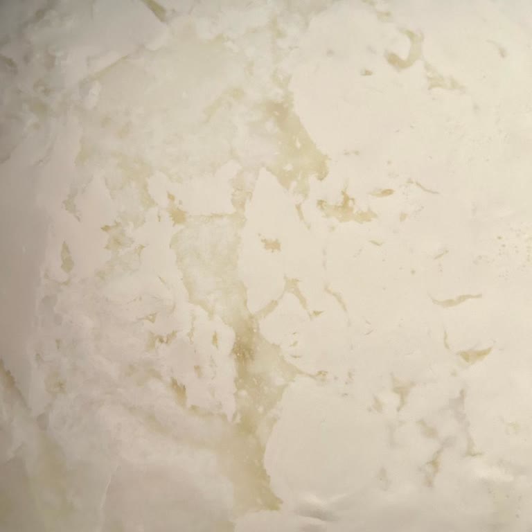 Fakir Pasteur Çiğ Sütten Pastörize Yoğurt Yapma Makinesi