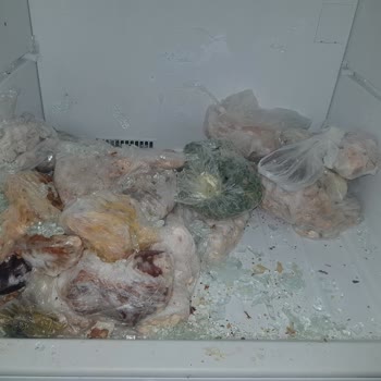 Profilo Dondurucu Bölümü Cam Raf Kırılması