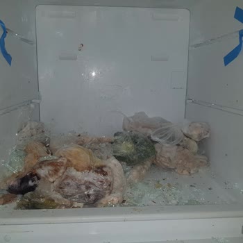 Profilo Dondurucu Bölümü Cam Raf Kırılması