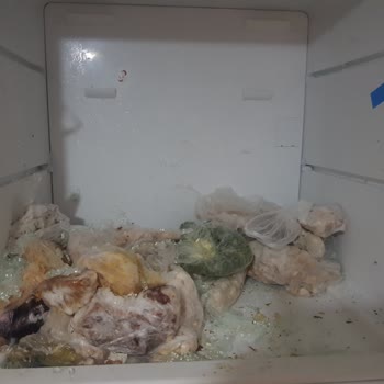 Profilo Dondurucu Bölümü Cam Raf Kırılması