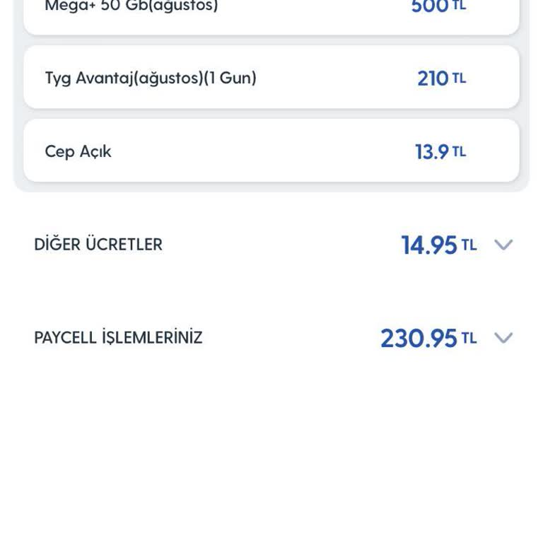 İzmir Çeşme Tatilinde Beklenmedik Yüksek Fatura Şoku