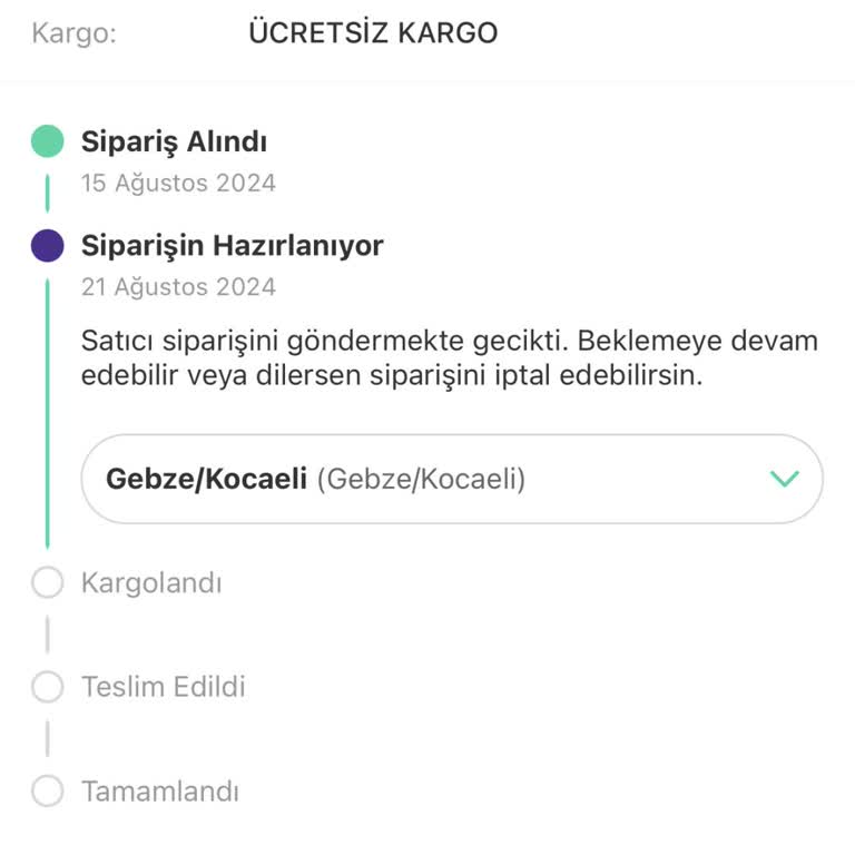 Lemaye Offical Satın Aldığım Elbiseyi Kargoya Vermediler