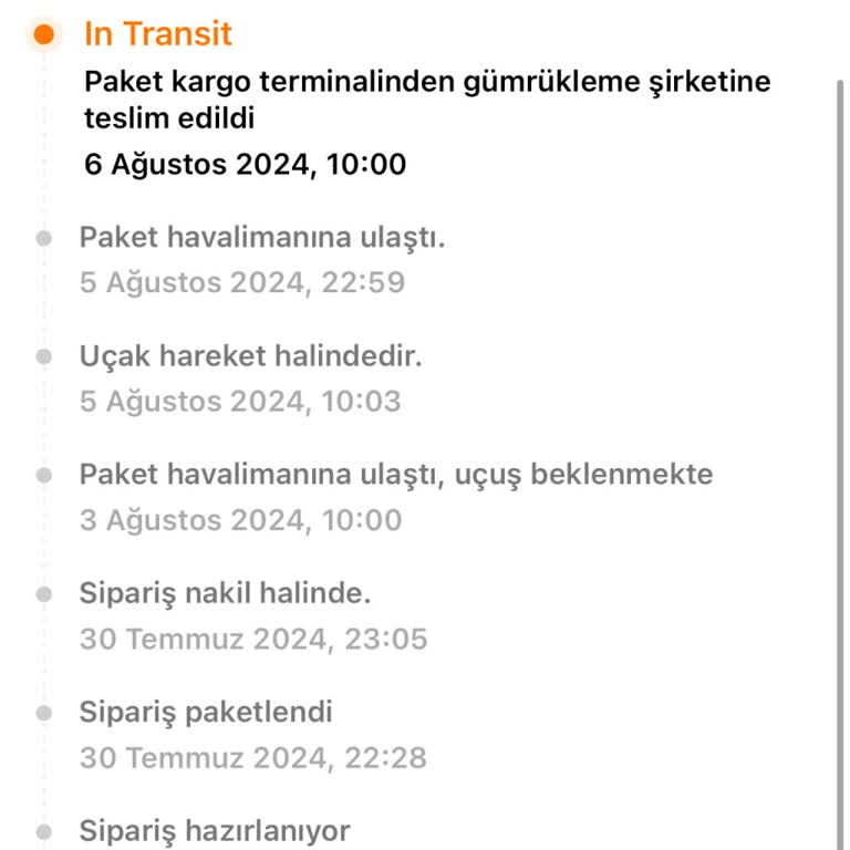 MNG Kargo Temu İn Transit Sorunu