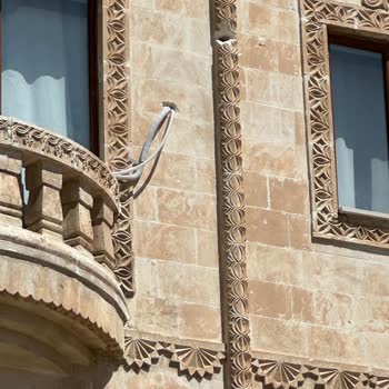 Altus Klima Montajında Yaşanan Sorunlar Ve Müşteri Hizmetleri Deneyimi