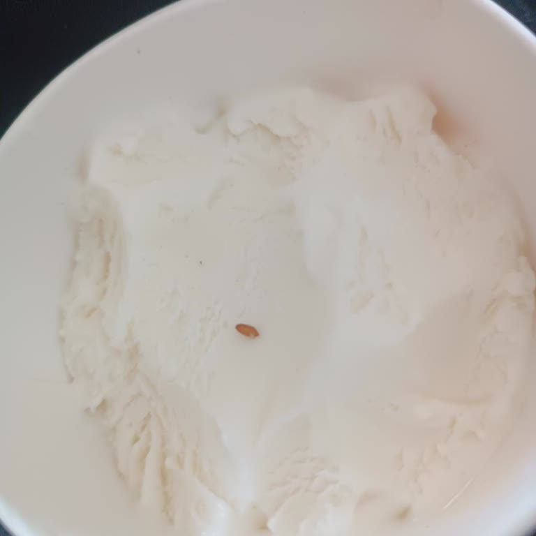 Karda Dondurmanın İçinden Kurtçuk Çıktı