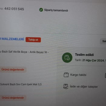 Bianca Boya Banyo Duvarında Soyulma Ve Kavlama Sorunu