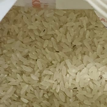 Armada Gıda Doyum Marka Baldo Pirinç İçerisinden Böcekler Çıktı