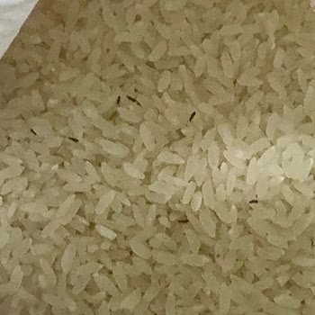 Armada Gıda Doyum Marka Baldo Pirinç İçerisinden Böcekler Çıktı