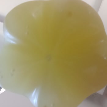 Çamlıca Gazoz Ülker De Bozmuş Çamlıca'da Değiştirilsin Lütfen