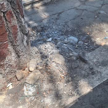 Antalya Büyükşehir Belediyesi Topçam Mesire Alanında Temizlik Ve Hijyen Sorunları!