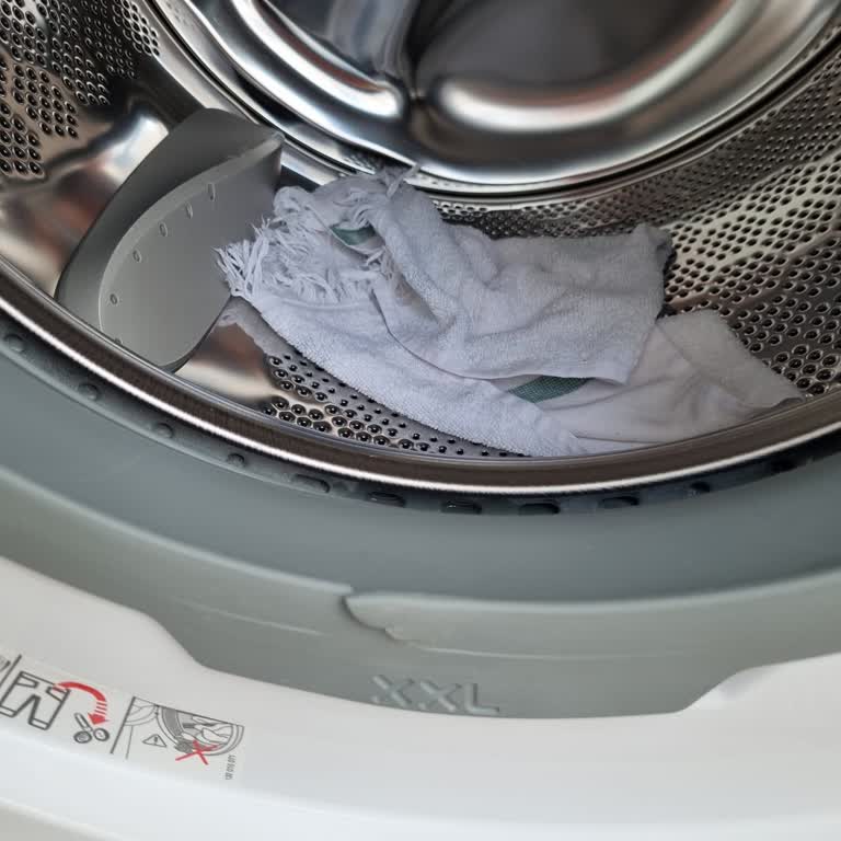 Electrolux Çamaşır Makinesi Körük Yırtılması