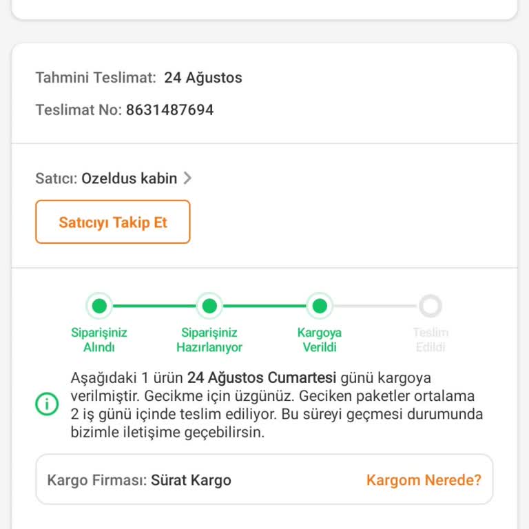 Sürat Kargo Osmangazi Şubesi Kargomu Teslim Etmiyor