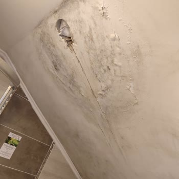 Castle Nolana Hotel & Horse Club Rutubet Ve Temizlik Sorunlarıyla Dolu Bir Konaklama