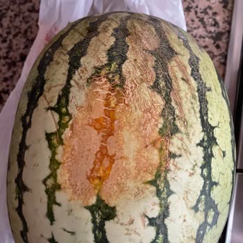 Migros Bozulmuş, Çürümüş Ürün Hakkında