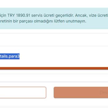 VFS Global Fransa Vize Randevu Hatası