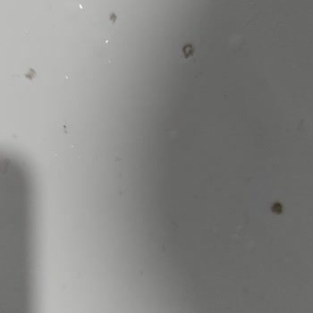 Vitra Lavabo Garanti Sorunu Ve Hayal Kırıklığı