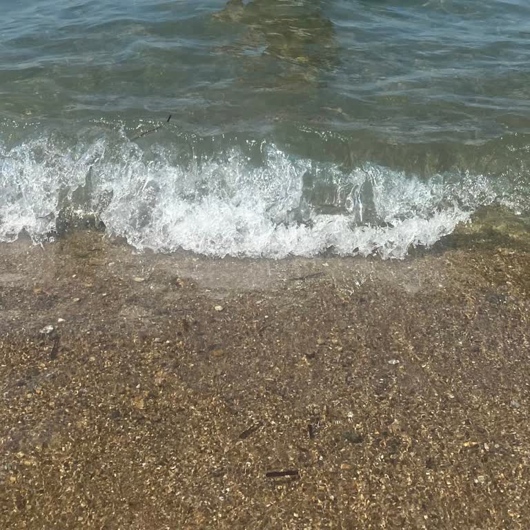 Regulus Beach Resort Temizlik Ve Yemek Kalitesi Beklentilerin Altında!