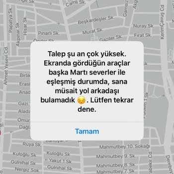 Martı Tag, Talep Çok Yüksek Hatası.