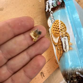 Eti Gıda Paketli Üründe Plastik Parçası Bulunması