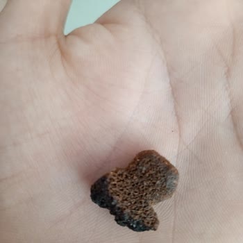 A101 Samba Cips İçinden Çıkan.