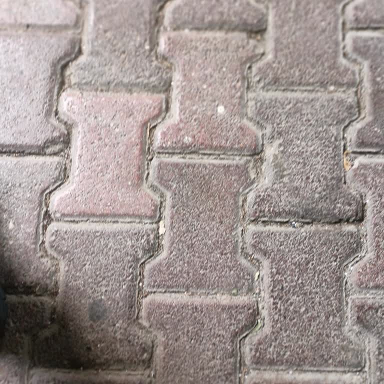 Sharp Marka Buzdolabı Kapı Fitili Yok