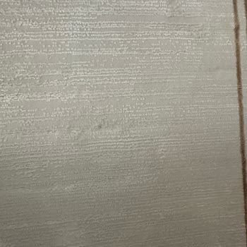 Değer Halı Yıkama (Bursa) Değer Halı Halılarımı Yıkamamış