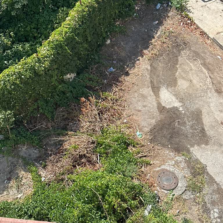 Kartal Belediyesi Temizlik İşleri İşini Yapmıyor.