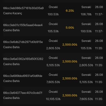 Casinolevant Çekim Talebim İptal Edildi Ve Bakiyem Kayboldu!