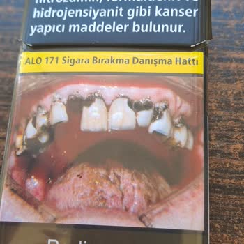 Philip Morris Sigara Dallarında Ağaç Parçaları