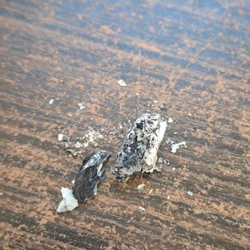 Philip Morris Sigara Dallarında Ağaç Parçaları