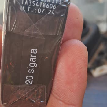 Philip Morris Sigara Dallarında Ağaç Parçaları