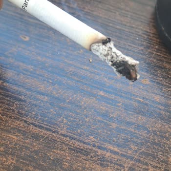 Philip Morris Sigara Dallarında Ağaç Parçaları