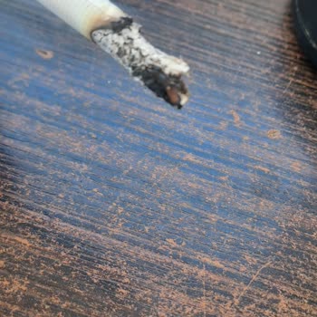 Philip Morris Sigara Dallarında Ağaç Parçaları