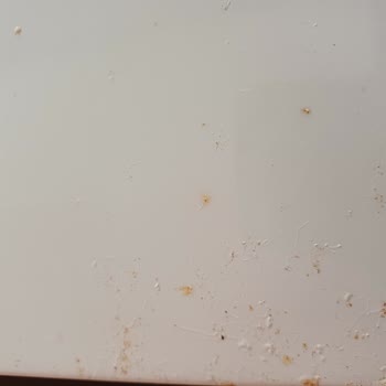 3 Yıllık Paslanan Buzdolabı Grundig