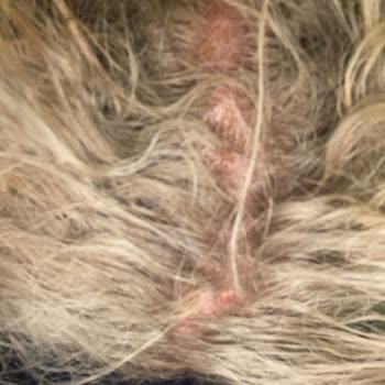 Mehmet Can Akbaş The Master Bayan Kuaförü