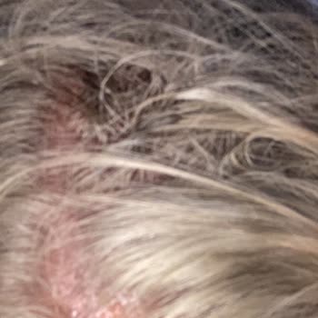 Mehmet Can Akbaş The Master Bayan Kuaförü