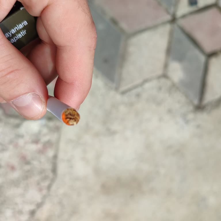 Winston Slendir Blue İçinden Çıkanlar