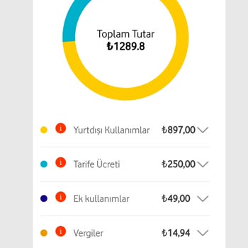 Yurt Dışı Kullanım Ücreti Şoku: 1300 TL Fatura!