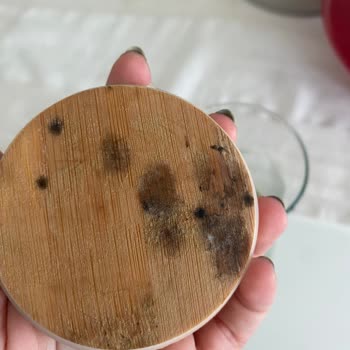 Bella Maison Küflenen Sürahi Kapağı