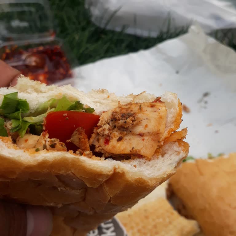 Zeki Piknik'te Hijyen Sorunu: Dönerlerde Sakal Kılı Bulundu