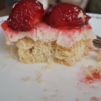 Doğal Yeşil Fırın Pasta (Adana) Tart Değil Hamur Yedik