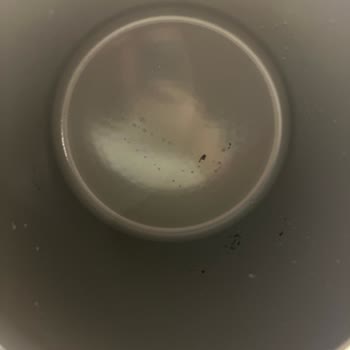 Neoflam Tencere Soyulma Oldu