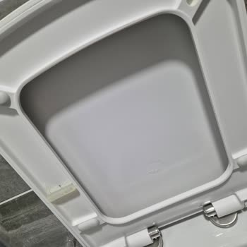 Kale Klozet Kapağı