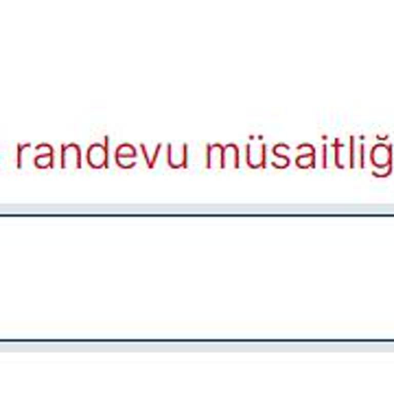 VFS Global Randevu Alamama Sorunu