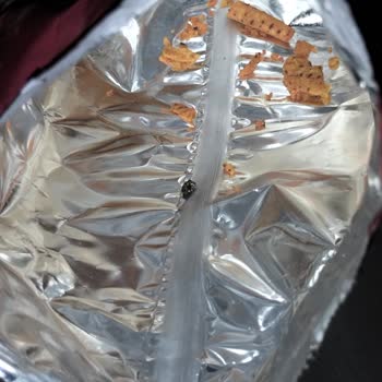 Patos Rolls Paketinin İçinden Siyah Sert Bir Cisim Çıktı